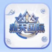 鼎天国际